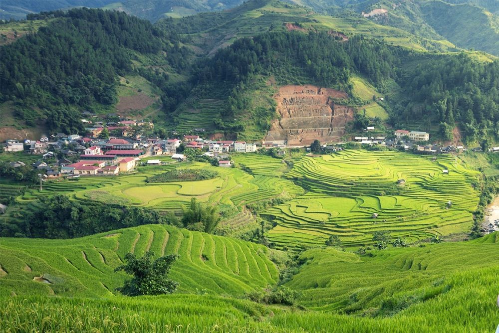 新興市場債